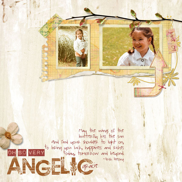 Butterfly Wings 2 Page Pak