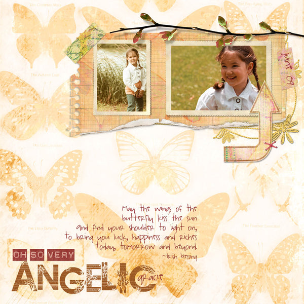Butterfly Wings 2 Page Pak