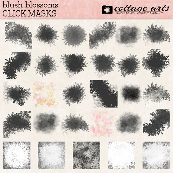 Blush Blossoms Collection