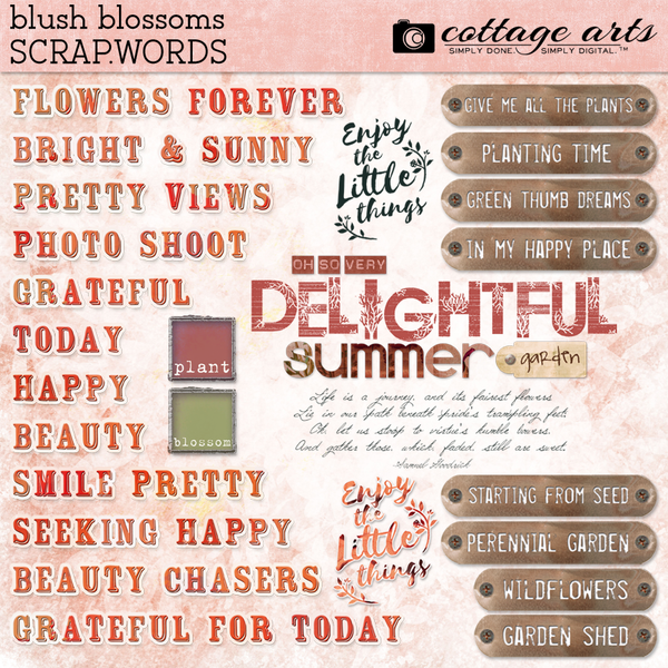 Blush Blossoms Collection