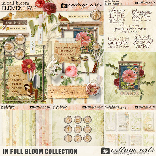 In Full Bloom Paper Pak