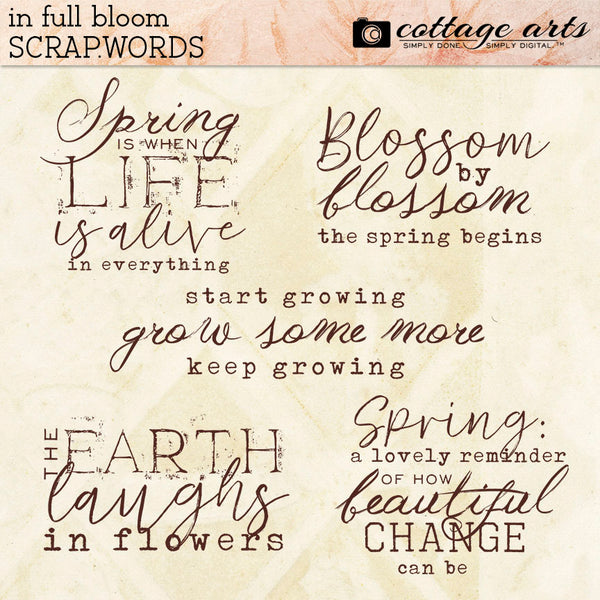 In Full Bloom Collection