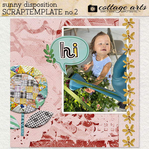 Sunny Disposition Collection