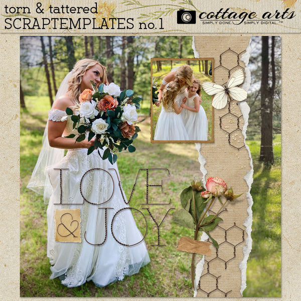 Torn & Tattered Collection