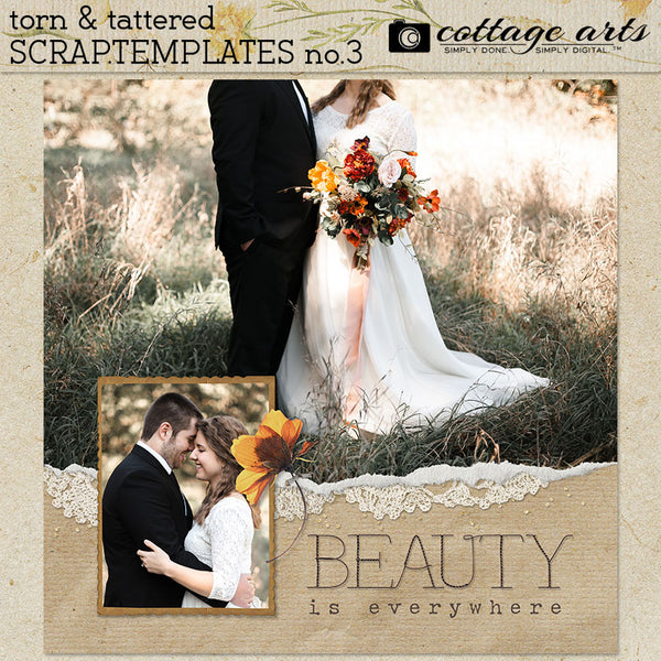 Torn & Tattered Collection