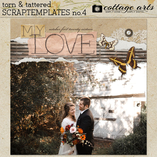 Torn & Tattered Collection