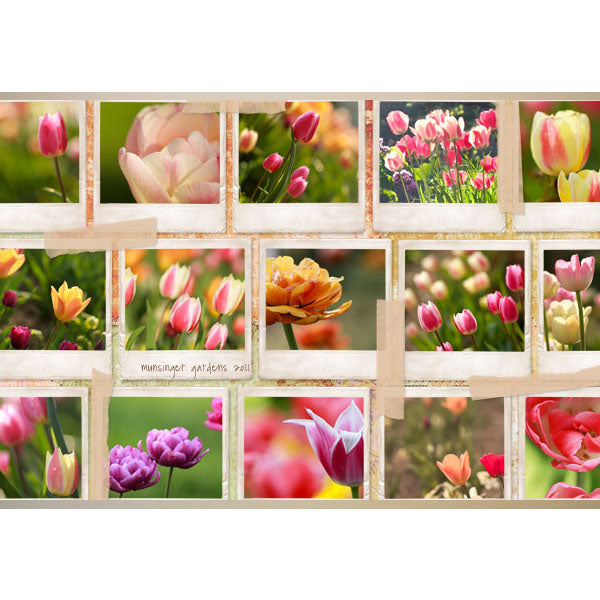 Simply Storyboards 3 - 12x18 Paper Pak