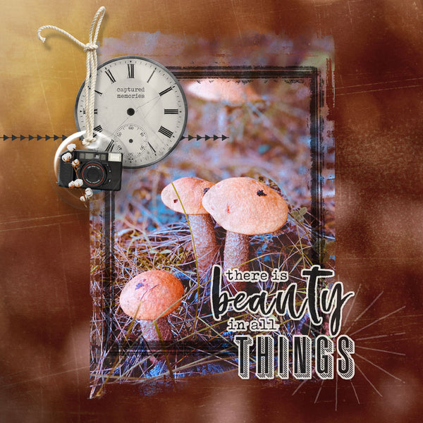 Captured Memories Danglies