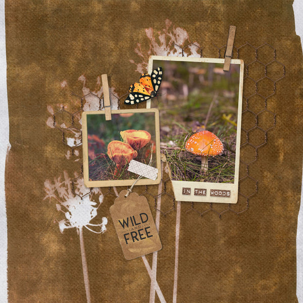 Cyanotypes Artisan Papers