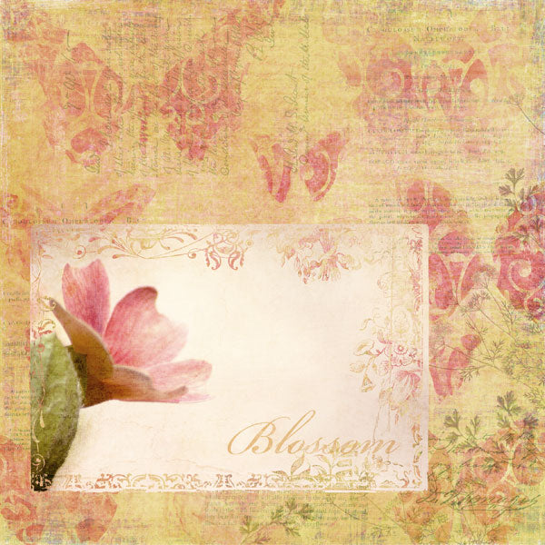 Butterfly Wings 2 Page Pak