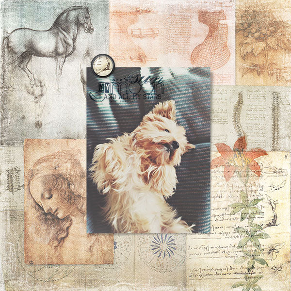 Da Vinci Collection Paper Pak