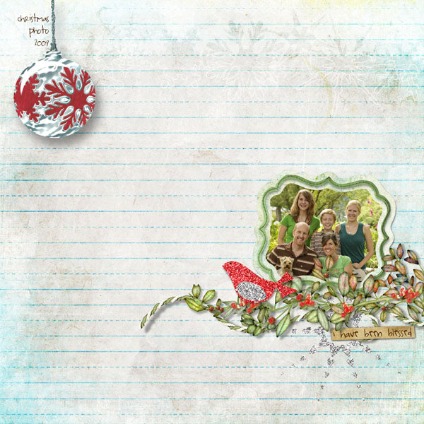 Winter Birdie Page Pak