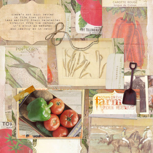Down on the Farm 2 Paper Pak