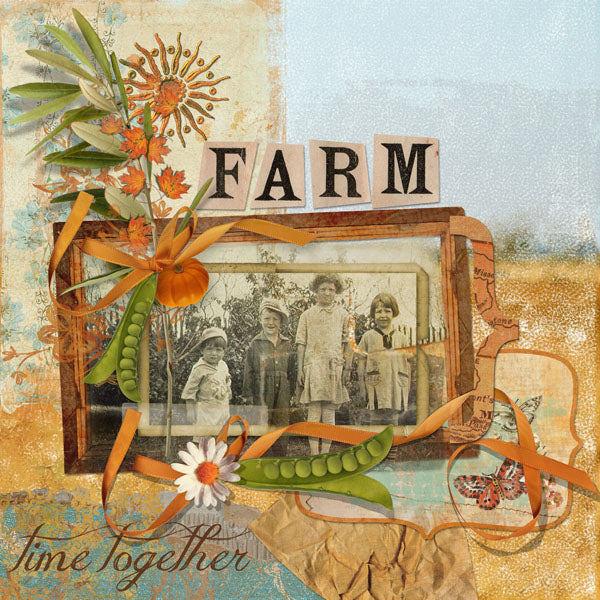 Down on the Farm Paper Pak