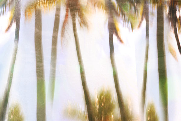 Nature's Sketchbook - Photo Art Blends 4