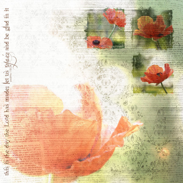 Blanc de Noir 5 Paper Pak