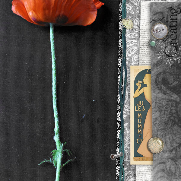 Blanc de Noir 5 Paper Pak