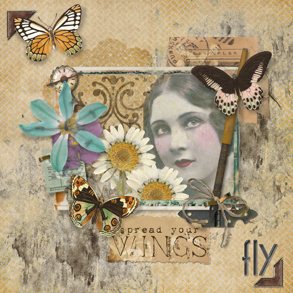 Winged Beauty Element Pak