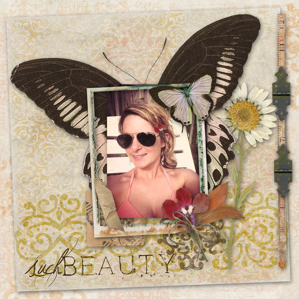 Winged Beauty Element Pak