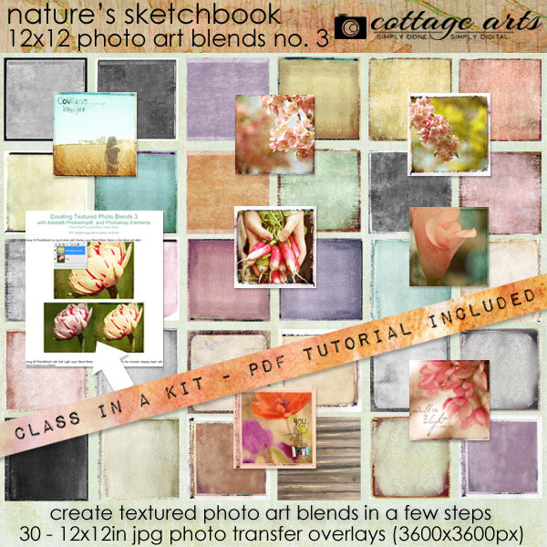 Nature's Sketchbook - Photo Art Blends 3