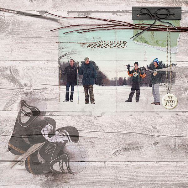 Winter Birch Page Pak