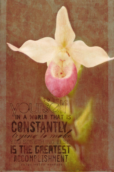 Nature's Sketchbook - Photo Art Blends 2