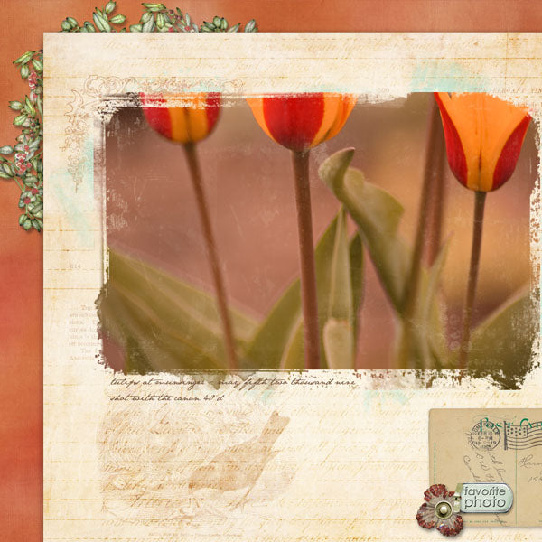 Scrap.Frames 30 - Wreaths
