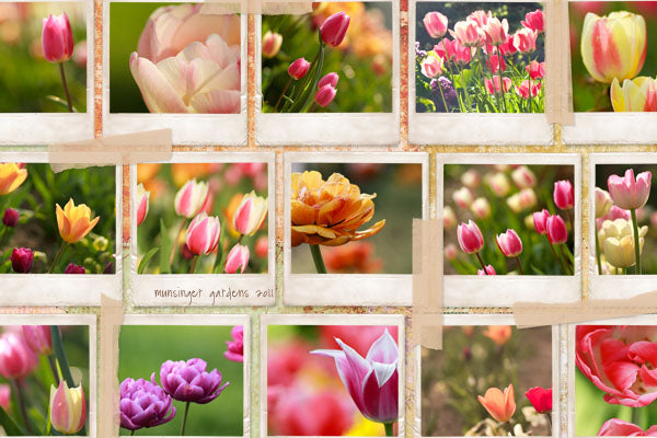 Simply Storyboards 3 - 12x18 Paper Pak