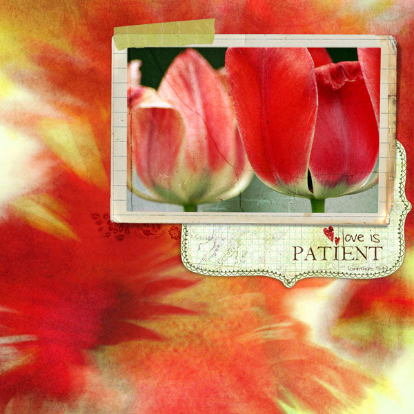 Strokes of Nature 1 Paper Pak