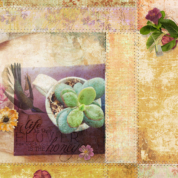 Spring Medley Element Pak