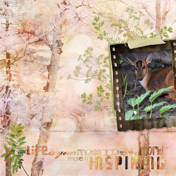 Off the Beaten Path 12 Paper Pak