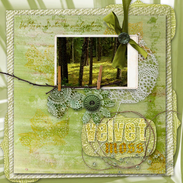 Nature's Sketchbook - Lacy Leaves