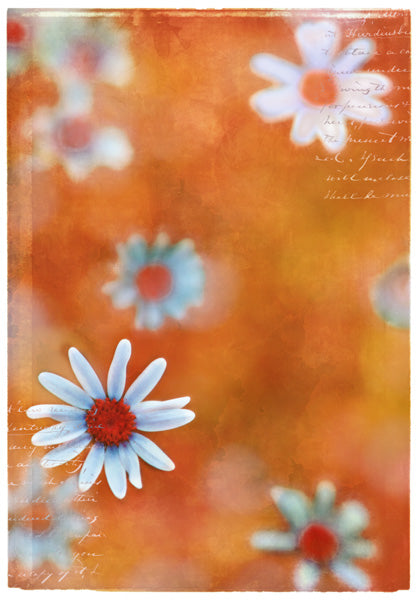 Nature's Sketchbook - Photo Art Blends 2