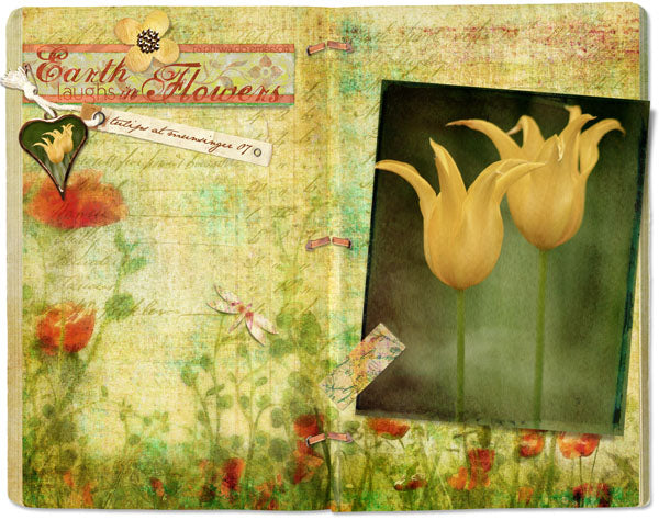 Nature's Sketchbook Element Pak 2 - Harmony