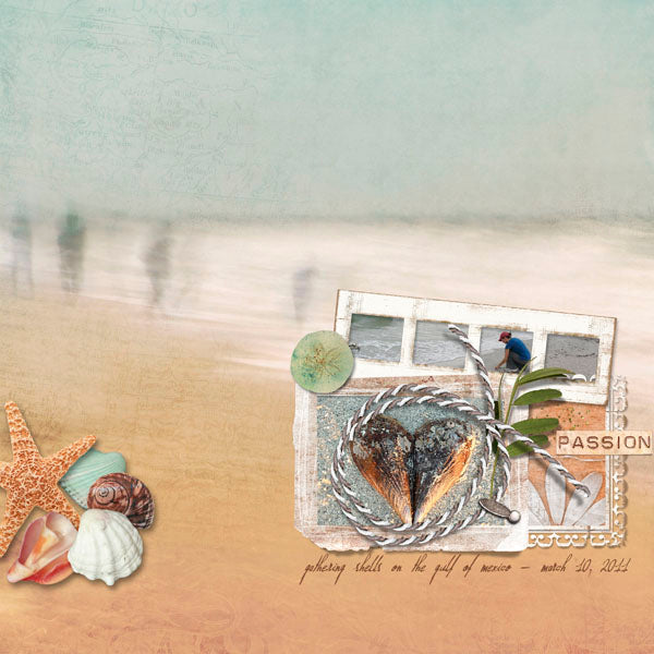 Everyday Element Pak 4 - Sea Shells