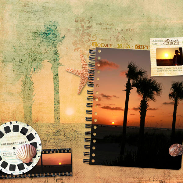 Everyday Element Pak 4 - Sea Shells