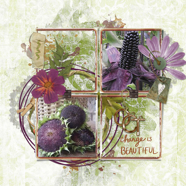 Faithful Fall Collection