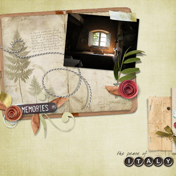 Feathered Ferns Brushes & Stamps