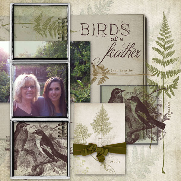 Feathered Ferns Brushes & Stamps