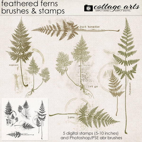Feathered Ferns Brushes & Stamps
