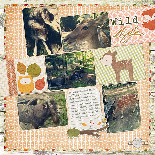 Festive Fall Paper Pak