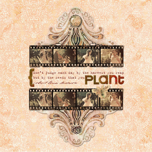 Harvest Medley Paper Pak