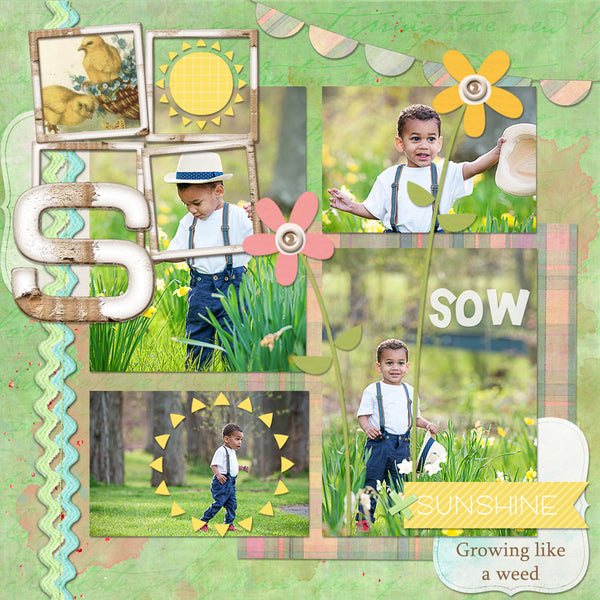 Hoppy Spring Page Pak