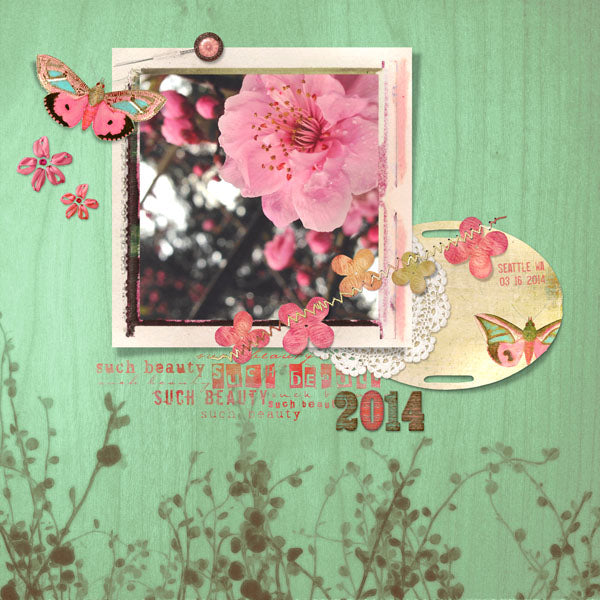 Naturals 13 Paper Pak