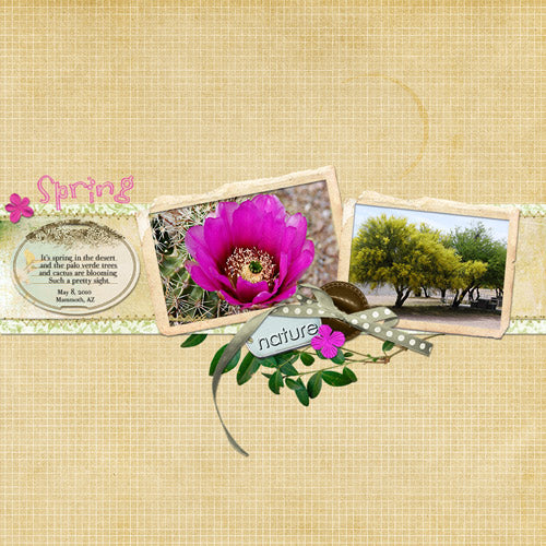 Scrap.Frames 9 - Vintage Frames