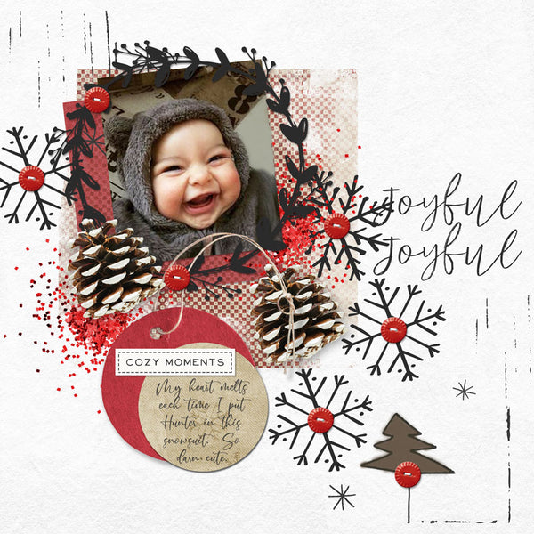 Winter Joy Scrap.Words