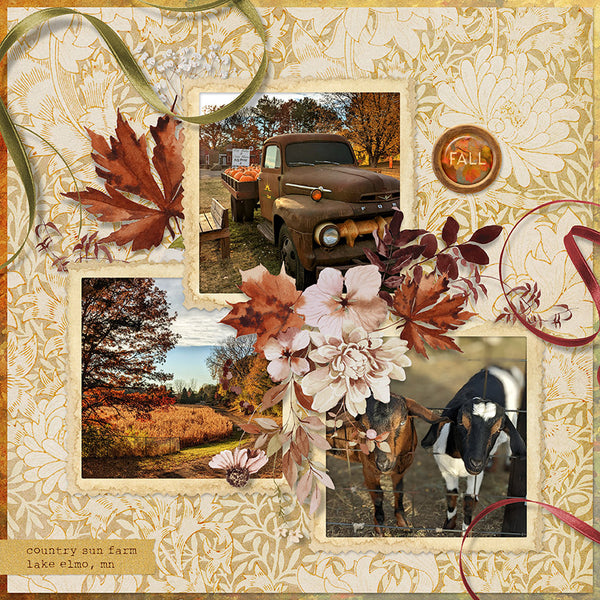 Fall-ing in Love Frame Clusters