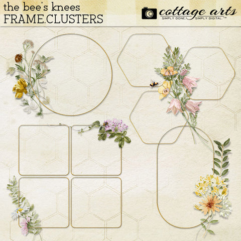 The Bee's Knees Frame Clusters