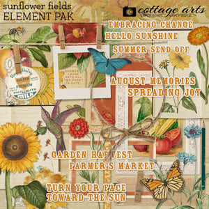 Sunflower Paper For Scrapbooking: Sunflower Fields Paper
