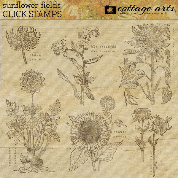 Sunflower Fields Collection